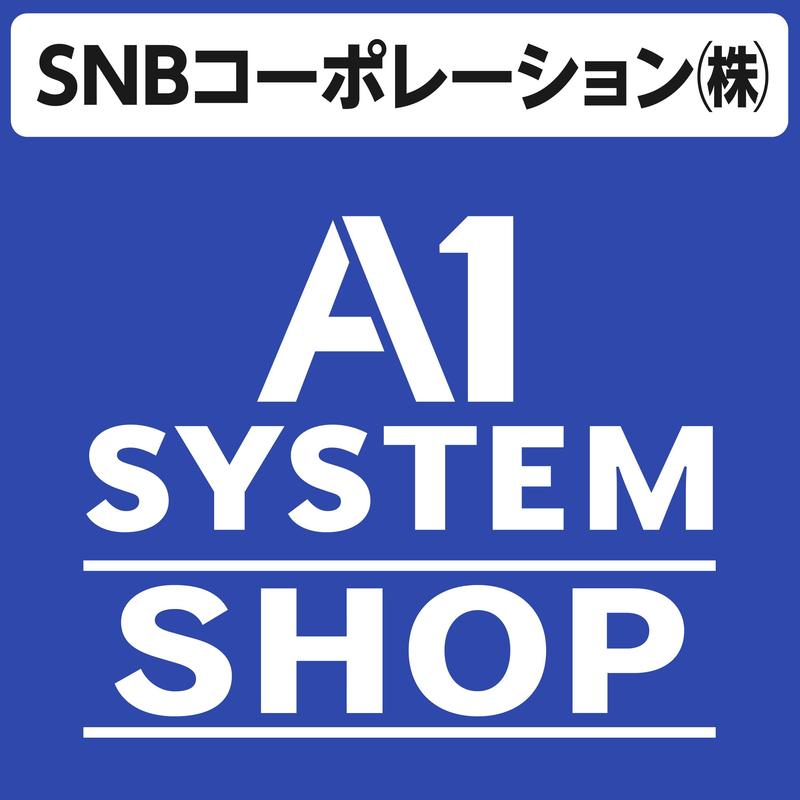 ＳＮＢコーポレーション株式会社画像